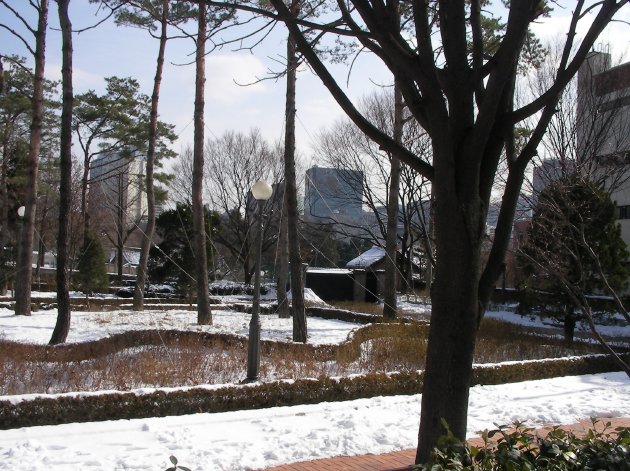 雪が積もっている貞洞公園